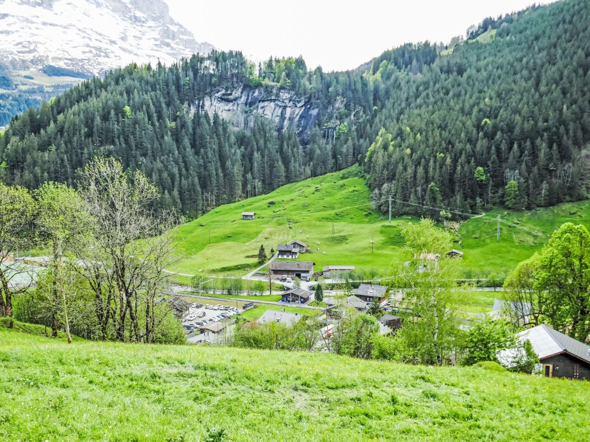Apartment Chalet Auf Dem Vogelstein-1 By Interhome Grindelwald Eksteriør bilde